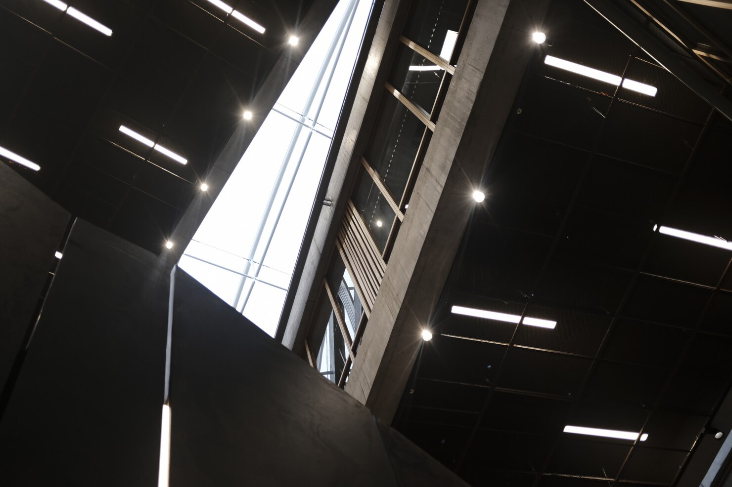 Espacio de oficina iluminado